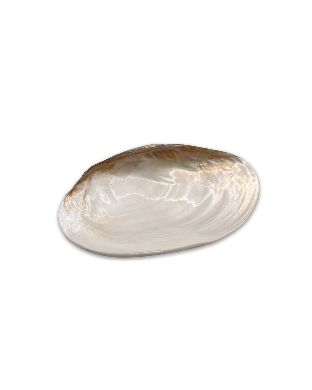 Perla