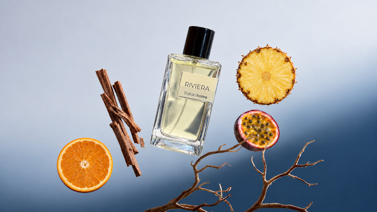 Discover OUR COLLECTION